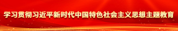 美女烤逼网站学习贯彻习近平新时代中国特色社会主义思想主题教育